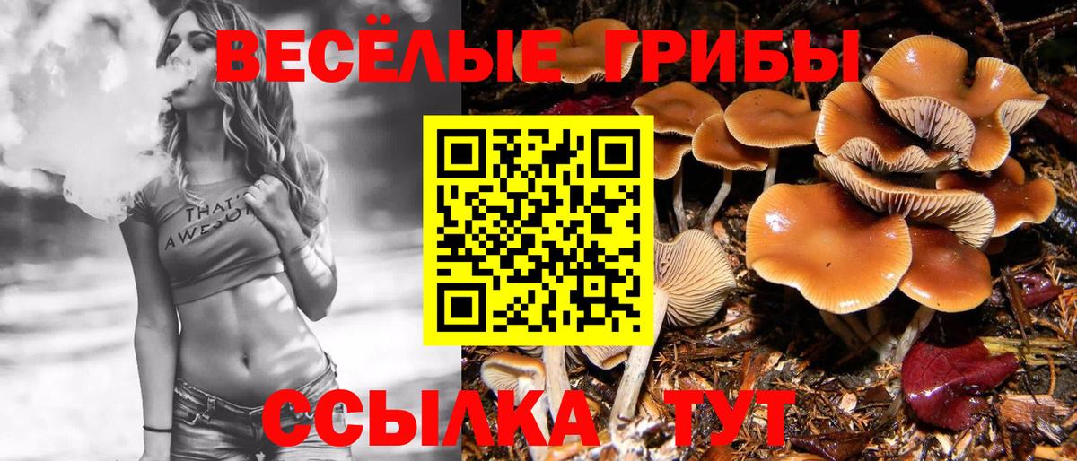Cocaine  Вход с VPN  MDMA  Гашиш  Подольск  Мефедрон кристаллы  Каннабис 