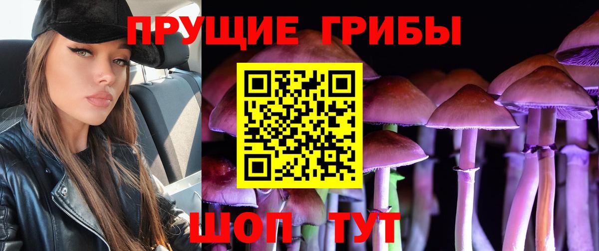 Псилоцибиновые грибы Psilocybine cubensis  Вход с VPN  Подольск 