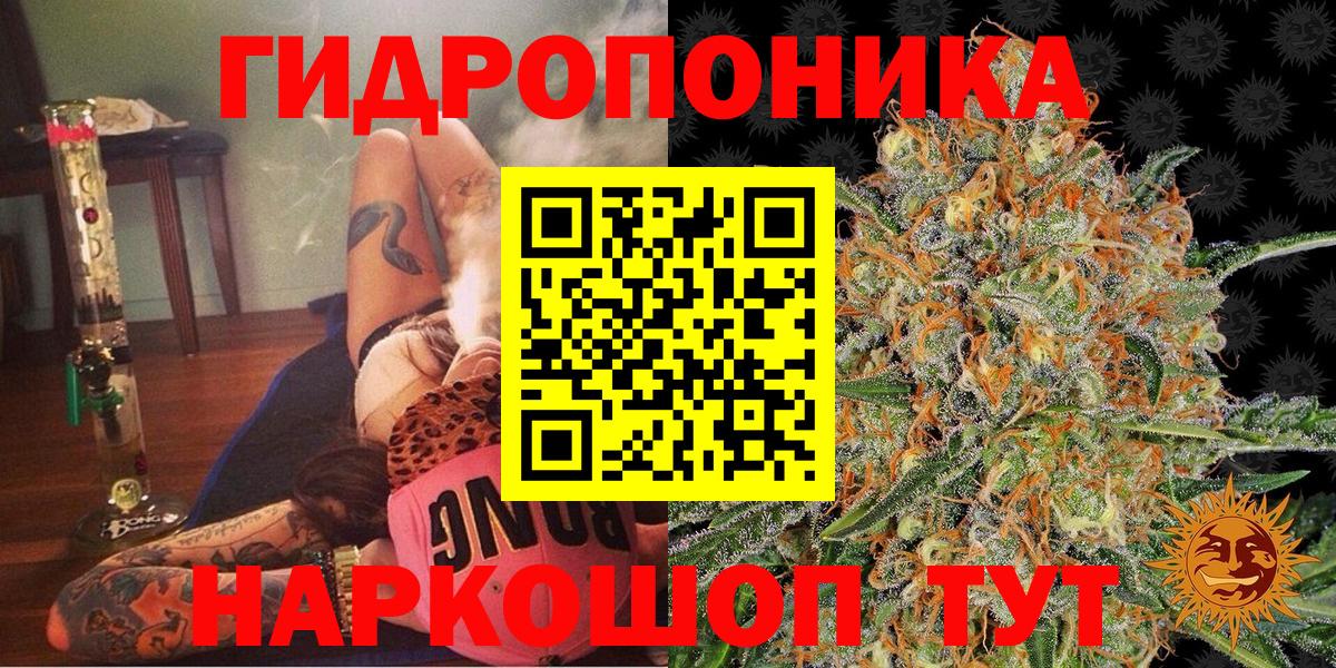 Бошки марихуана Amnesia  Конопля план  Шишки марихуана сатива  Шишки марихуана Amnesia  Подольск  Вход с VPN 